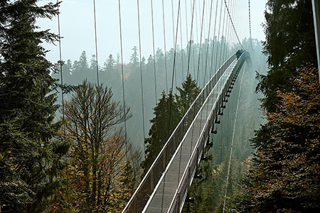 Wildline Hängebrücke Bad Wildbad