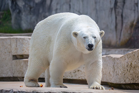 Karlsruher Zoo