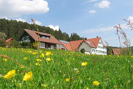 Frühling auf dem Labbronnerhof