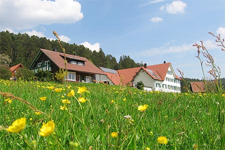 Frühling auf dem Labbronnerhof