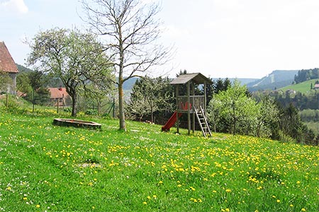 Frühling auf dem Labbronnerhof