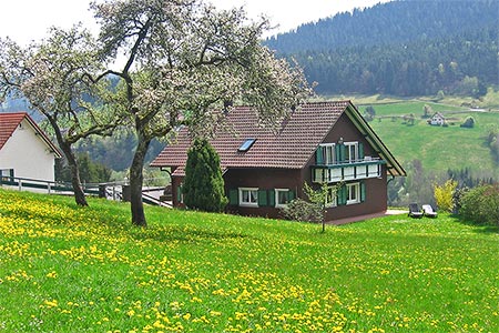 Außenansicht des Ferienhauses